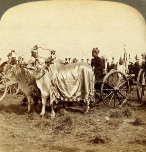 Canon en argent du Maharaja de Baroda, Delhi, Inde - Underwood and Underwood