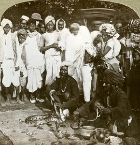 Charmeur de serpents, Calcutta, Inde, vers 1900 - Underwood and Underwood
