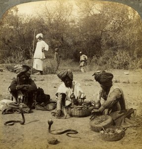 Charmeurs de serpents, Delhi, Inde - Underwood and Underwood