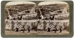 Le Jardin de Gethsémani et le Mont des Oliviers, Palestine, 1908 - Underwood and Underwood