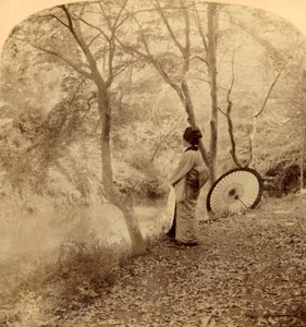 Les Jours Dorés de l