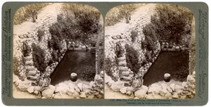 La piscine de Siloé, à l
