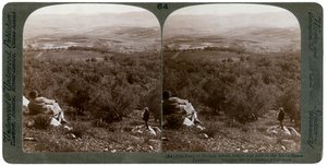 La plaine de Dothan, Palestine - Underwood and Underwood