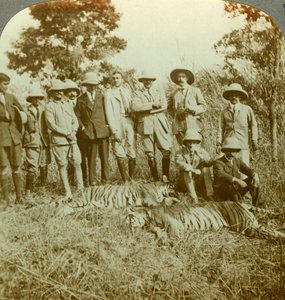 Chasse au tigre, Cooch Behar, Bengale occidental, Inde, vers 1900 - Underwood and Underwood