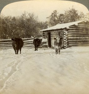 Hiver dans un ranch, Montana, USA - Underwood and Underwood