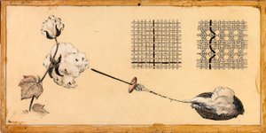 Tissage du coton