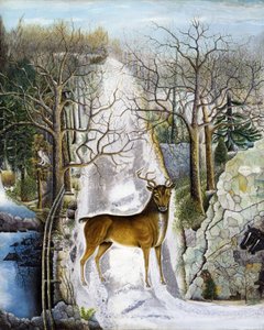 Cerf à Echo Rock - Unidentified