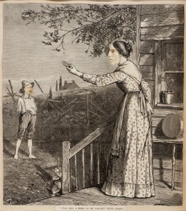 Un oiseau trop vieux pour être pris avec des paillettes - Unidentified