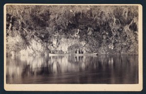 [Sous les falaises de la rivière Withlacoochee, Floride] - Unidentified