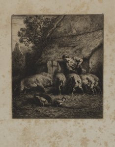 Femme nourrissant des porcs