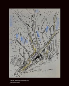 Arbre à Babinière