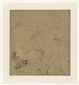 Feuille d