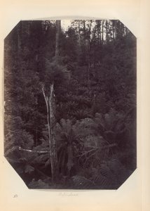 Australie - (Victoria et Australie du Sud) - Unknown