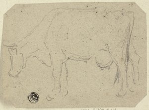 Vache broutant (recto) ; Tête d