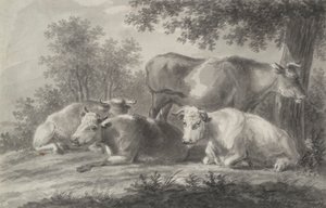 Vaches au repos - Unknown