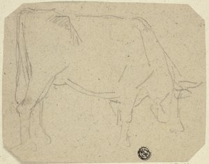 Vache broutant (tournée à droite) (recto); Arrière-train d