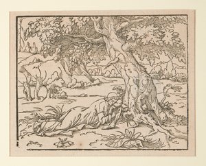 Page d
