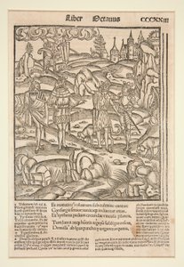 Page du Virgile de Strasbourg, 1502 - Unknown