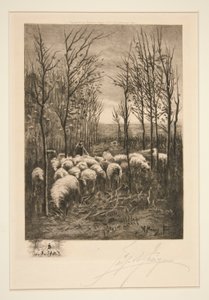 Moutons dans le Pâturage
