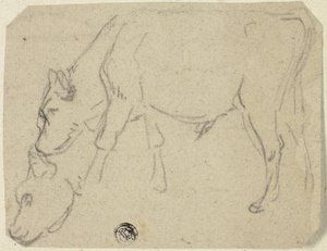 Croquis d