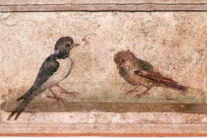 Hirondelle et moineau, peinture murale romaine de Boscoreale près de Pompéi, 1er siècle - Unknown