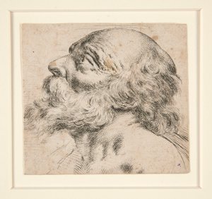 Sans titre (homme barbu, regardant vers la droite)