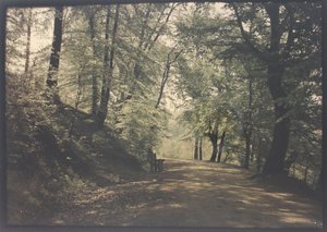 Sans titre - Unknown