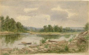 Vue d