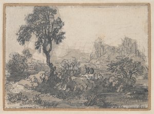 Paysage forestier - Unknown