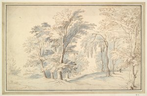 Paysage boisé - Unknown