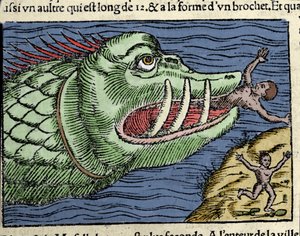 Un monstre marin attaque un nageur près des côtes de la Norvège. Gravure d