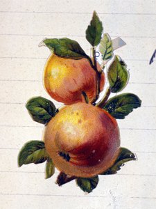 Une pêche - Unknown artist