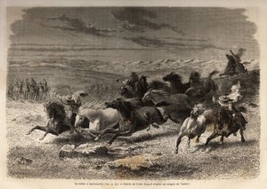 Un rodéo à Lauramarca (Bas Pérou), la capture de chevaux sauvages, avant leur marquage au fer avec les initiales du propriétaire de la région, considéré comme un spectacle complet, de nombreux badauds rassemblés. Gravure pour illustrer le voyage dans les v - Unknown artist
