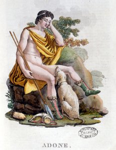 Adonis. Dieu grec d