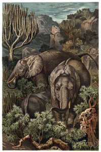 Éléphant d