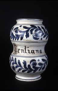 Albarelle : ancien vase de pharmacie du XVIe siècle contenant de la gentiane. Musée des Sciences et de la Technologie, Milan. - Unknown artist