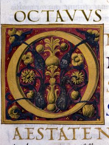 Alphabet : lettre O miniaturée - Unknown artist