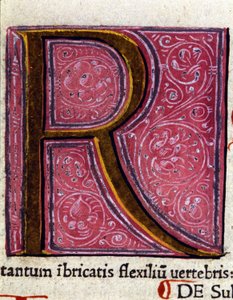 Alphabet : lettre miniaturée R
