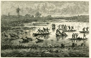 Chasse à l