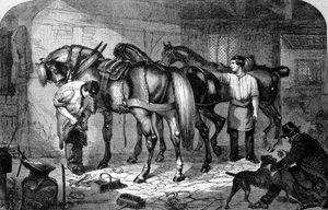 Artisan : le maréchal ferrant ferre les chevaux. Gravure du XIXe siècle - Unknown artist