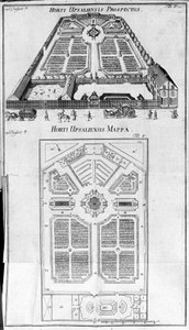 Jardin botanique - HORTI UPSALIENSIS perspective et plan - Unknown artist