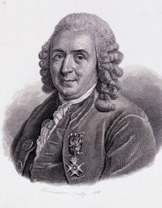 Carl Von Linné naturaliste et écrivain suédois (1707 - 1778) - dans « Portrait d