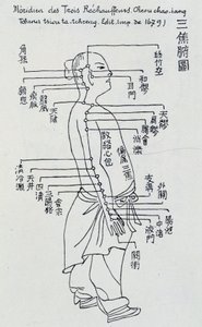 Acupuncture chinoise : le méridien des trois réchauffeurs