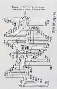 Acupuncture chinoise : le méridien de la vessie
