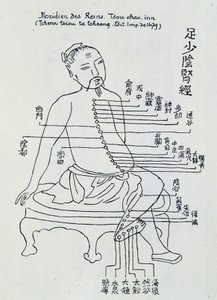 Acupuncture chinoise : le méridien des reins