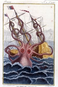 Poulpe colossal attaquant un navire - gravure du livre de Pierre Denys-Montfort « Histoire naturelle des mollusques », édition originale de 1802 - Unknown artist