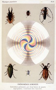 Coloration présentée par deux lames de quartz superposées, coloration des insectes - dans « La physique populaire » par Émile Desbeaux - Unknown artist