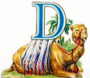 D: Dromadaire - Unknown artist