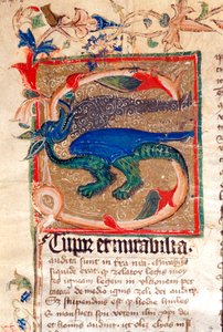Lettrine décorée de dragon (détail) d