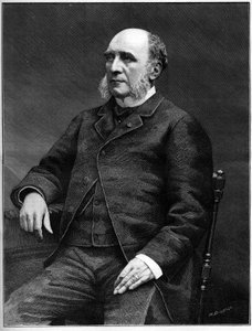 Duc Louis Charles Decazes (1819-1886), homme politique français, ministre des Affaires étrangères de 1873 à 1877 - Unknown artist